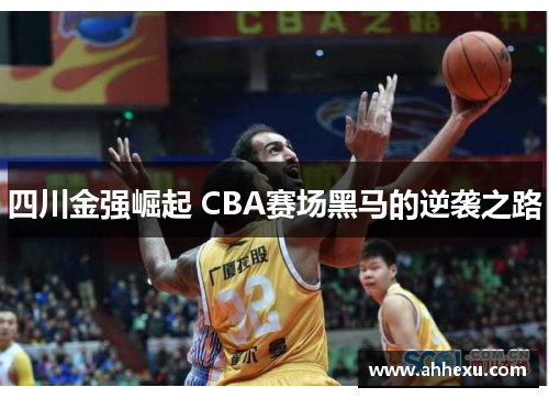 四川金强崛起 CBA赛场黑马的逆袭之路 四川金强崛起 CBA赛场黑马的逆袭之路